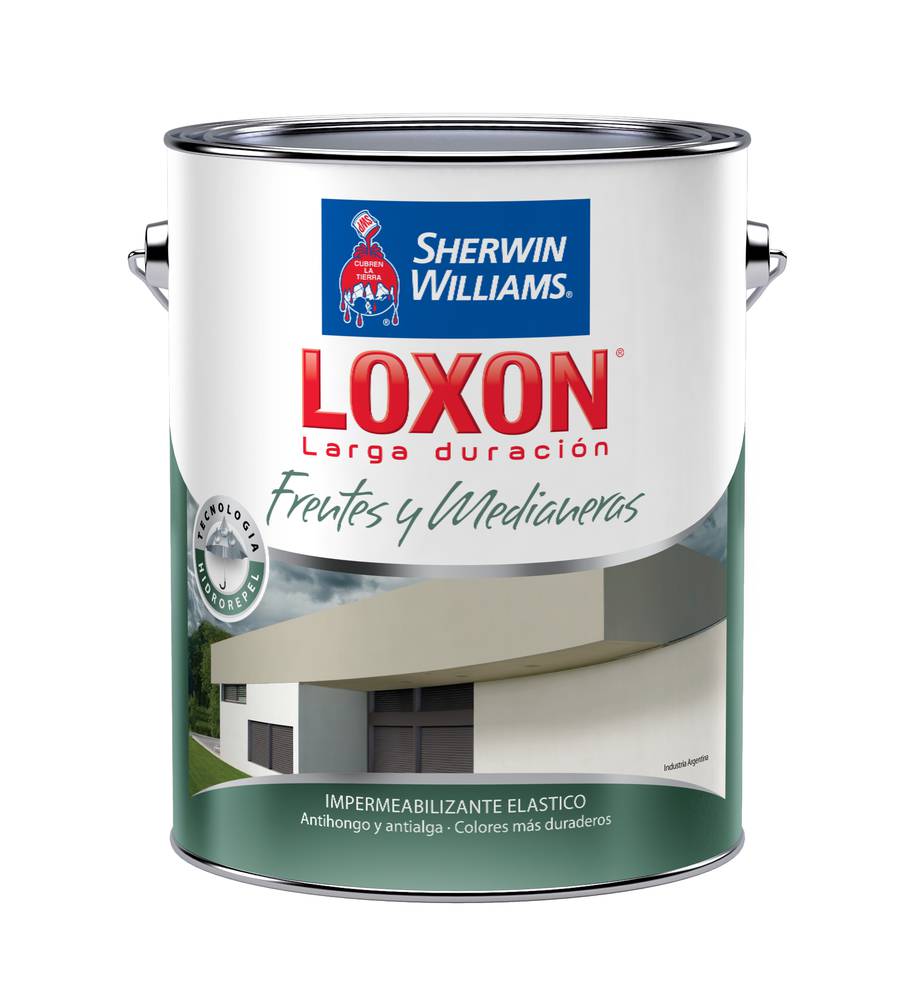 Loxon LD Frentes y Medianeras Elast blanco x 20 lts.